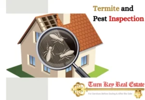 Termite and Pest Inspection
